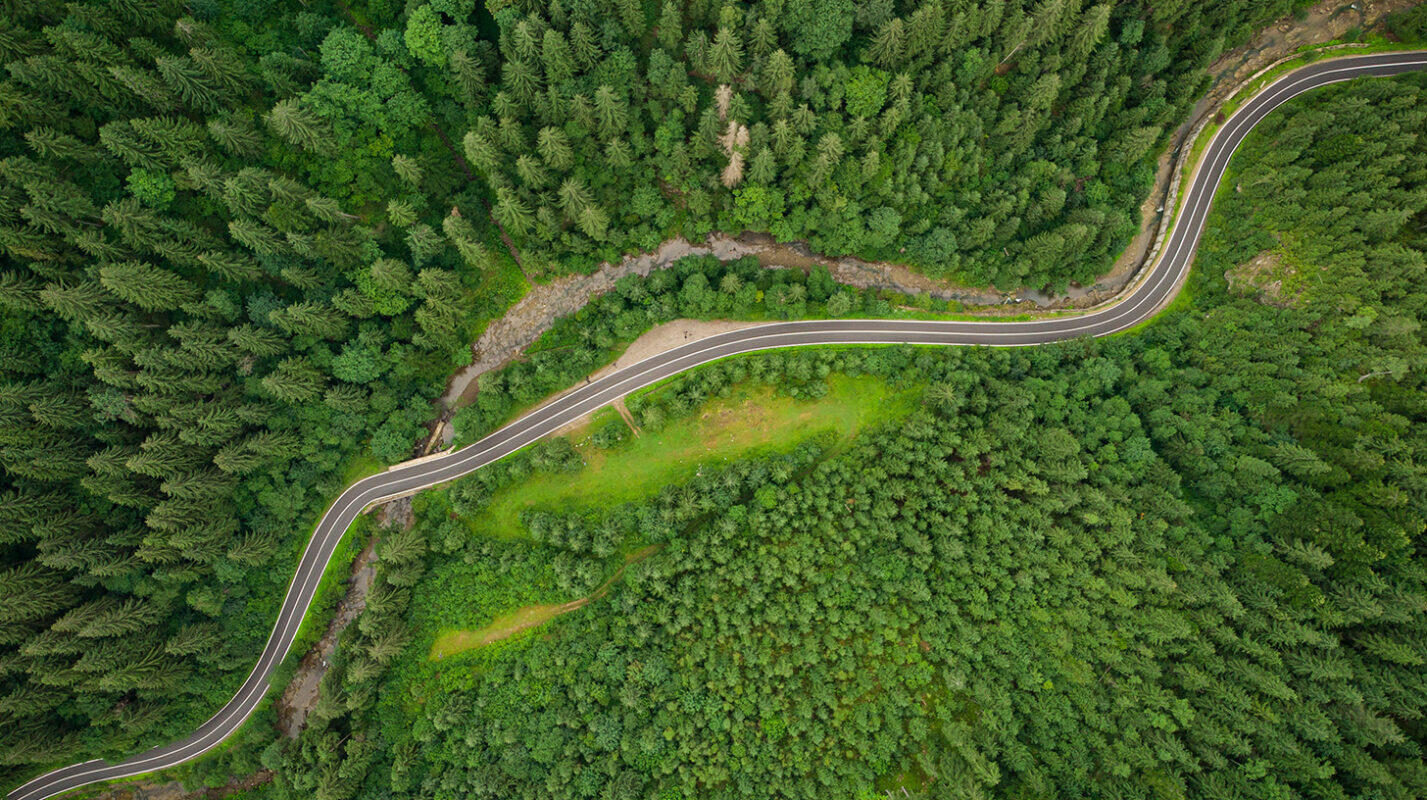 syoska-media-wald